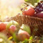 Organic fruit in summer grass