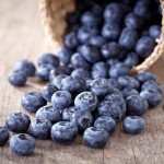 fresh blueberries