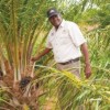 Zampalm-plantation-manager-Trusted-Mwiinga-624×428 2