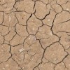 drought 2