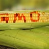 gmos_corns_