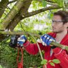 the-skil-lynx-garden-saw-eliminates-the-physical-effort-that-comes-with-pruning-trees-and-shrubs