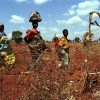 Malawi Famine Documentation (Malawi : 2002)