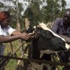 GAVLMED KENYA