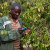 how-digital-is-solving-three-problems-in-agriculture-2