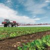 sprayer-storage