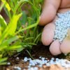 Fertilizer