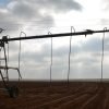 efficient-irrigation-smith-jpg_1