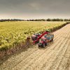 7th Sugar Cane Conference_4