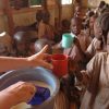 feed Africa