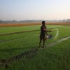 Bangladesh – Microfinance and Technical Support Project – Decemb