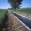 irrigation-farm-
