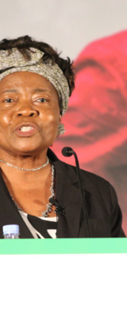 Hon. Prof. Ruth Oniang’o, Kenya