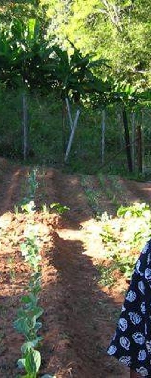 zimbabwe-sustainable-farming