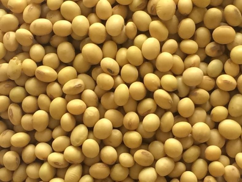 Electronic Trading System Of Soya Bean And Chickpea To Enhance Foreign 