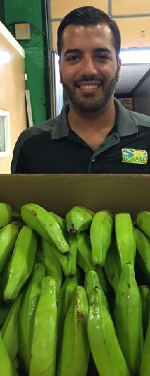 Bananas ripening