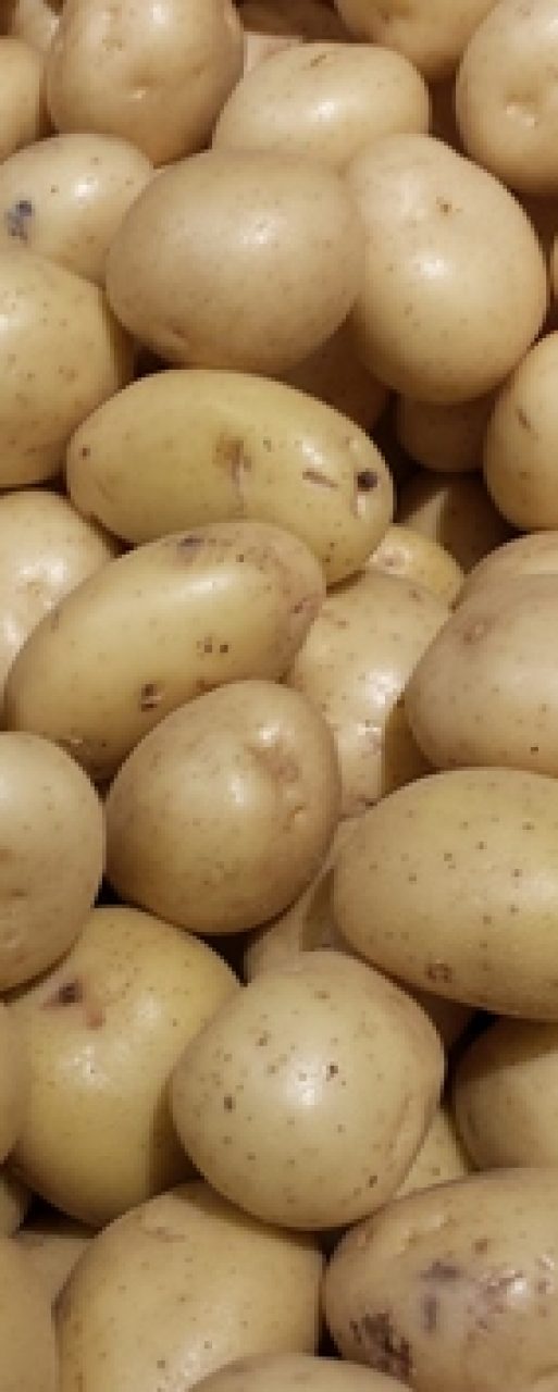 potatoe 3