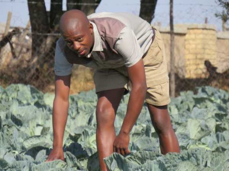 Education Is Key To Improving The African Agribusiness - Farmers Review ...