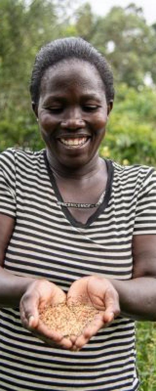 Seeds-Kenya-Image-4-002
