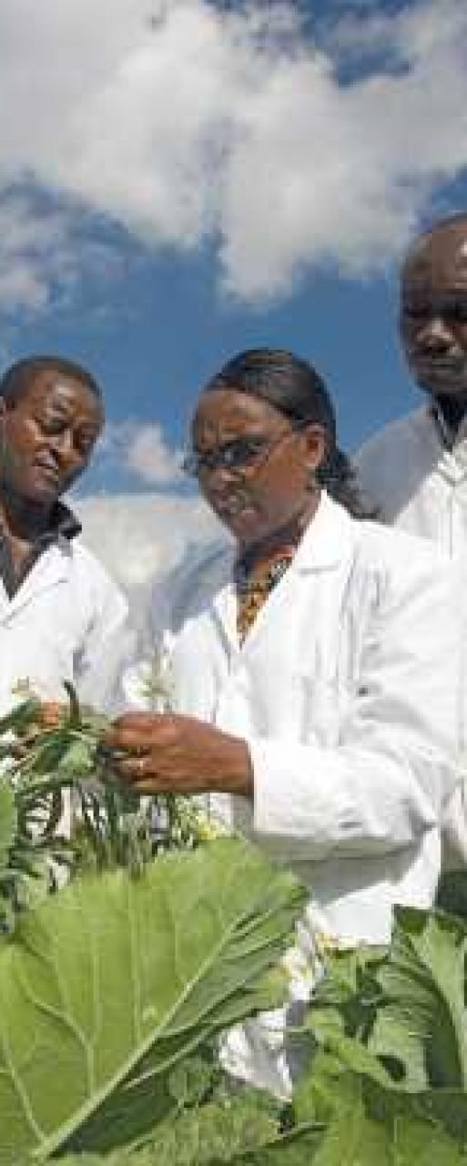 2009-AWARD-Fellow-Florence-Olubayo-from-the-University-of-Nairobi-Kenya