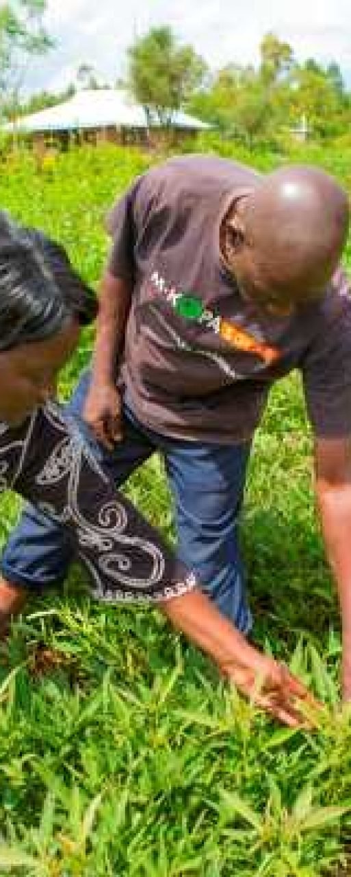 2009 AWARD Fellow, Mary Oyunga, on a farm visit