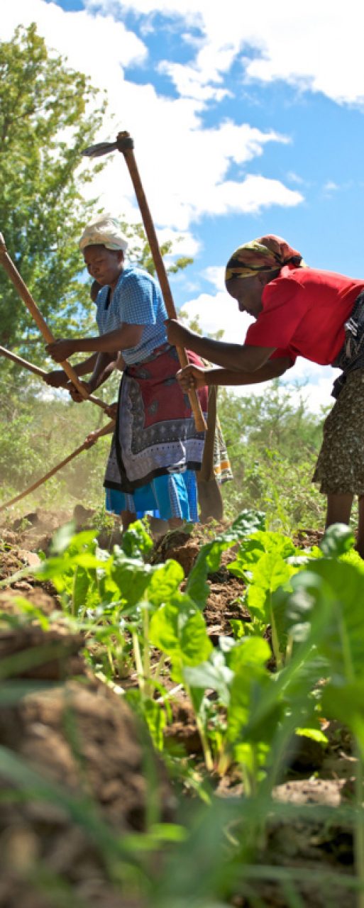 Egypt keen on achieving regional economic integration in Africa