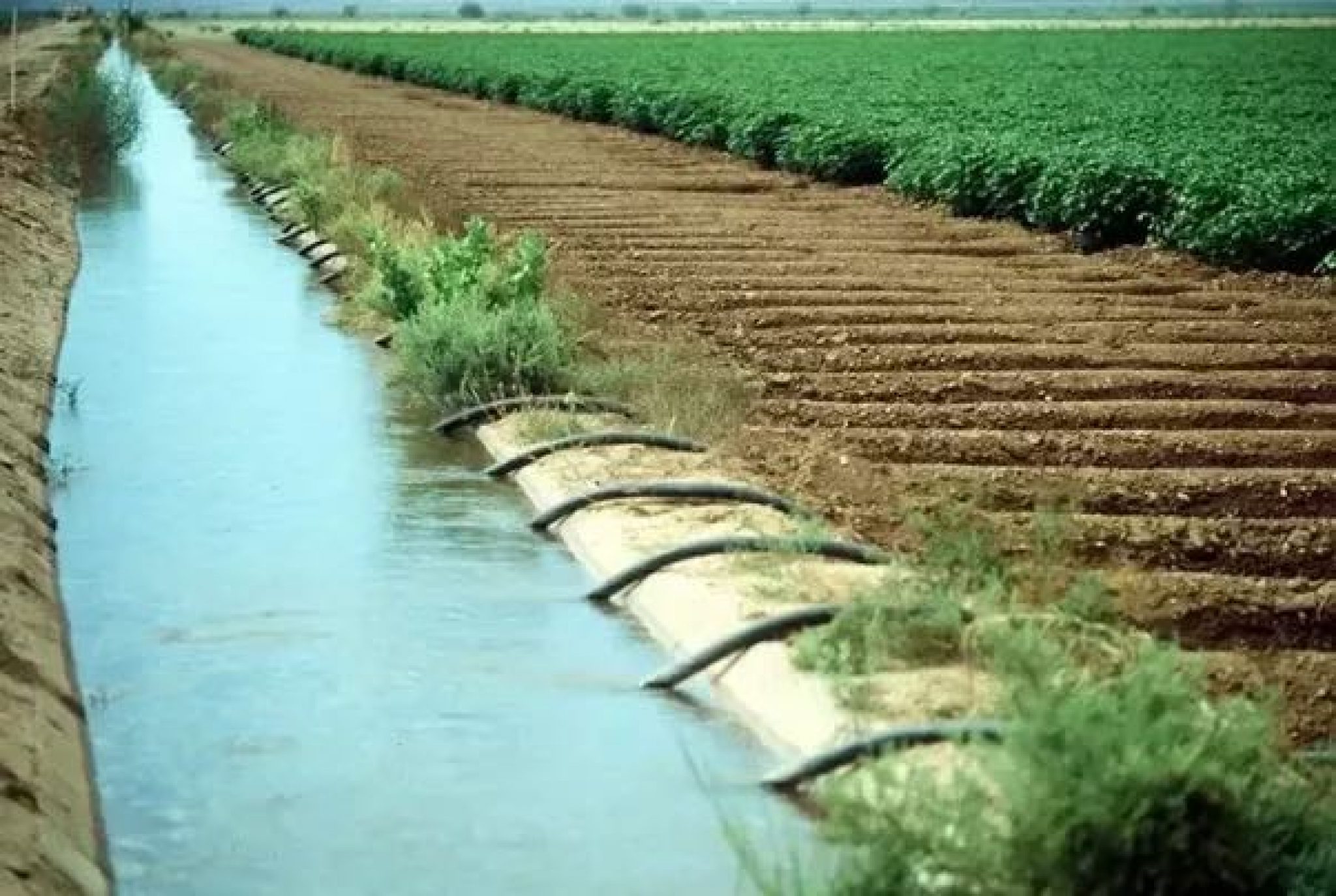 Egypt Upgrades 2017 Km Of Irrigation Canals