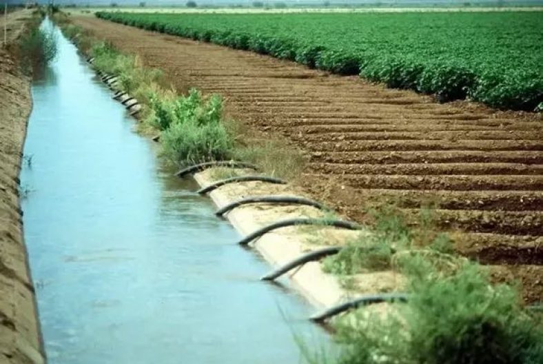 egypt-upgrades-2-017-km-of-irrigation-canals