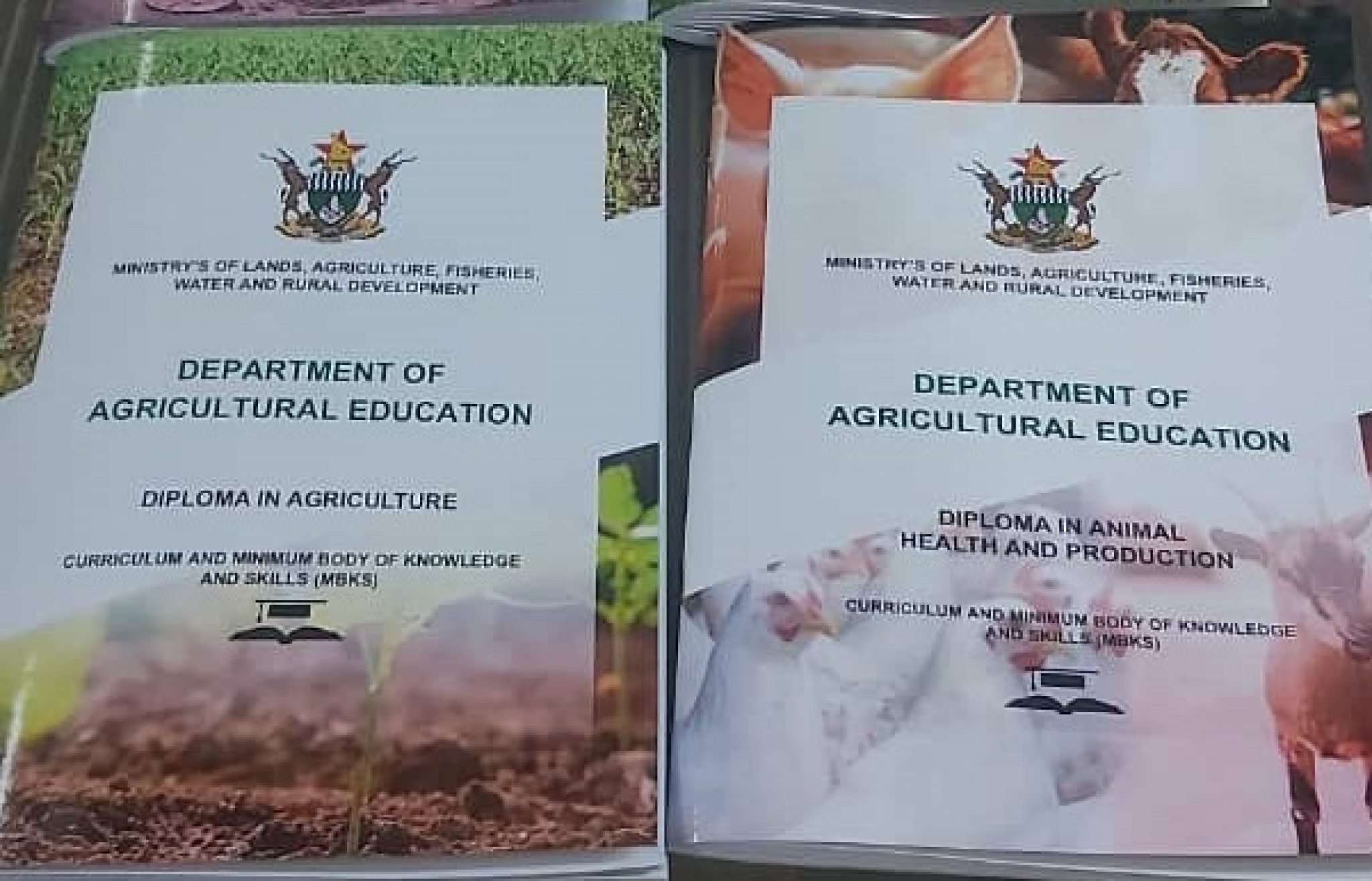 Zimbabwe launches new curriculum to transform agriculture