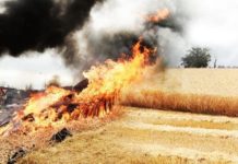 Farmers in Ntungamo District, Uganda count losses over fire blaze Farmers in Ntungamo District, Uganda count losses over fire blaze
