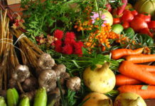 Nestlé to support the transition to a regenerative food system Nestlé to support the transition to a regenerative food system