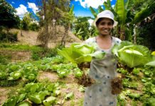 Agroecology can address food systems failures – new IFAD report