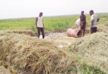 Zimbabwe issues ultimatum for defaulting farmers Zimbabwe issues ultimatum for defaulting farmers
