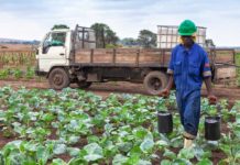 UAE, Turkey to invest in Angola’s agricultural sector Angola’s agricultural sector