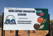 Tino Mhiko (36), ARDA CEO Behind Turning Arid Lupane Into Thriving Wheat Production Area