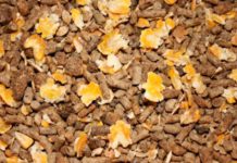 Akefema raise concerns over raw animal feed material exports Akefema raise concerns over raw animal feed material exports