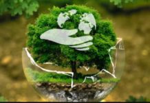 Global Witness reports 227 land and environmental activists murdered in a single year Global Witness reports 227 land and environmental activists murdered in a single year