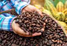 COCOBO, Ghana inks US $1.5bn syndicated loan agreement COCOBO, Ghana inks US $1.5bn syndicated loan agreement