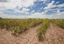 Kenya proposes Sh 670M budget to mitigate drought Kenya proposes Sh 670M budget to mitigate drought