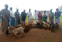 World Vision Ghana provides small ruminants to farmers in Bawku West World Vision Ghana provides small ruminants to farmers in Bawku West