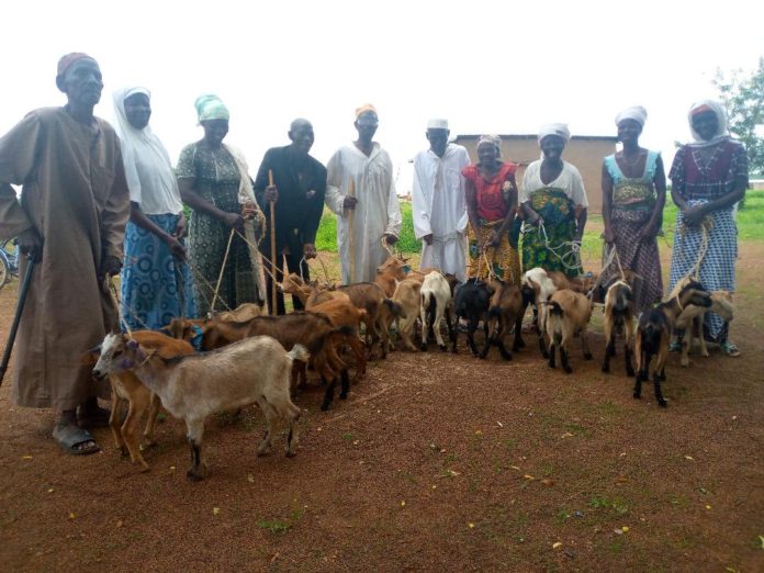 World Vision Ghana provides small ruminants to farmers in Bawku West