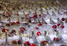 TOMRA fresh food to unveil new cascade singular -” a game changer that will revolutionize the cherry industry ‘