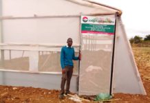 Youth agricultural constraints in Zimbabwe