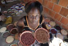 Protecting biodiversity is crucial to fighting hunger – IFAD calls for increased investments ahead of World Conservation Congress