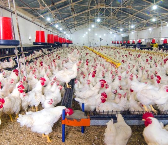 The Moral: Read the fine print before signing trade agreements! The Moral: Read the fine print before signing trade agreements!