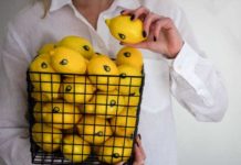 Seedless lemons – making great progress and new Asia opportunities