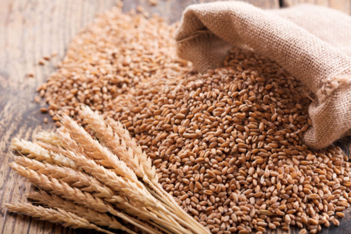 Russia resumes wheat exports to Algeria