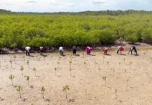 Small-scale farmers need decent wages – IFAD calls on world leaders to commit to action at Food Systems Summit