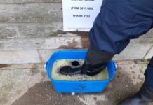 Fighting Foot-and-mouth disease, the modern way.