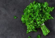 Kenya seeks importation of fresh oregano, parsley to USA Kenya seeks importation of fresh oregano, parsley to USA